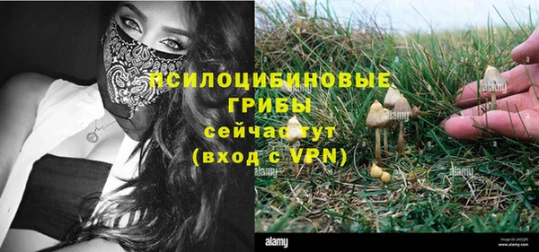 трава Осинники