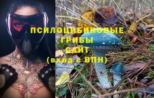 хмурый Алзамай