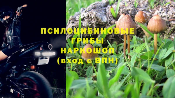 хмурый Алзамай