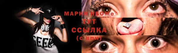 хмурый Алзамай