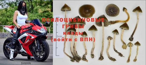 хмурый Алзамай