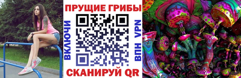 дарнет шоп Сасово кракен Псилоцибиновые грибы ЛСД